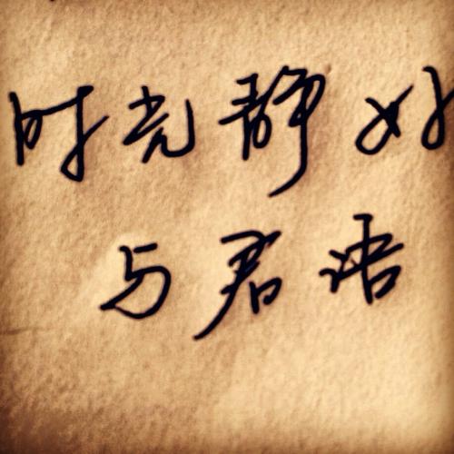 有哪些第一次读到便震撼的句子?